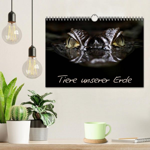 Produktbild: Tiere unserer Erde (Wandkalender 2026 DIN A4 quer), CALVENDO Monatskalender