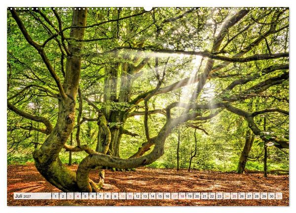 Produktbild: Naturpark Reinhardswald - Wo die Sababurg auf die Weser trifft (Wandkalender 2027 DIN A2 quer), CALVENDO Monatskalender