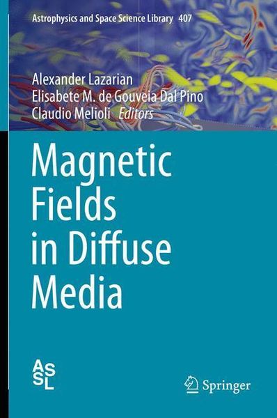 Produktbild: Magnetic Fields in Diffuse Media
