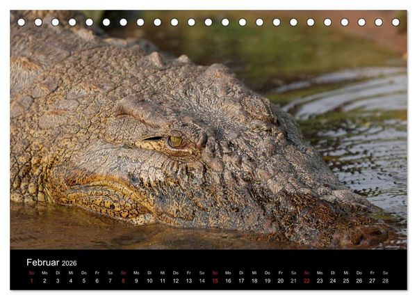Produktbild: Naturerlebnis Botswana (Tischkalender 2026 DIN A5 quer), CALVENDO Monatskalender