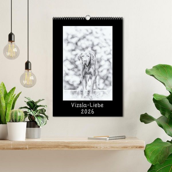 Produktbild: Vizsla-Liebe (Wandkalender 2026 DIN A3 hoch), CALVENDO Monatskalender