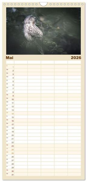 Produktbild: Familienplaner 2026 - Eulen - sch&ouml;n und geheimnisvoll mit 5 Spalten (Wandkalender, 21 x 45 cm) CALVENDO