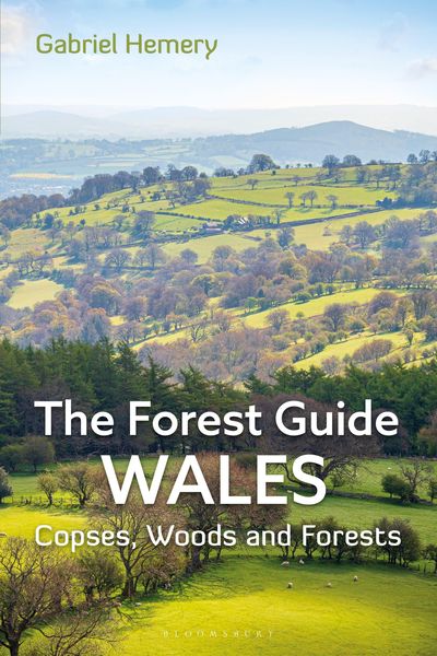Produktbild: The Forest Guide: Wales