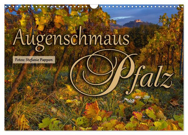 Augenschmaus Pfalz (Wandkalender 2026 DIN A3 quer), CALVENDO Monatskalender