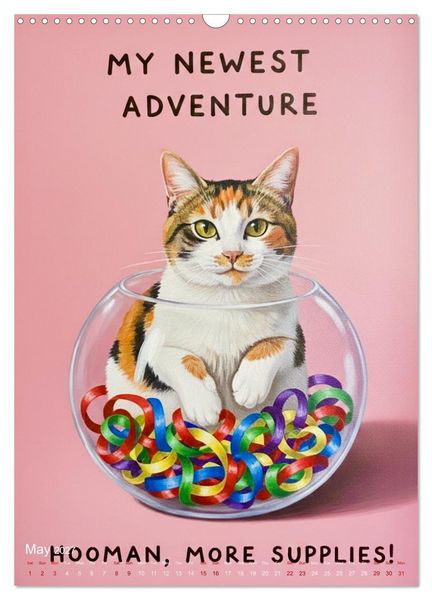 Produktbild: CATitude A YEAR OF CAT LIFE (Wall Calendar 2027 DIN A3 portrait), CALVENDO 12 Month Wall Calendar