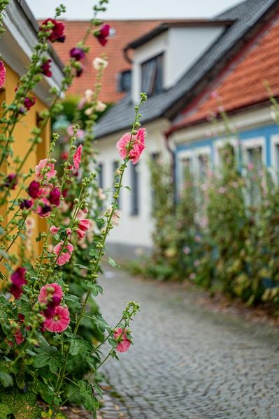 Produktbild: Sk&aring;ne