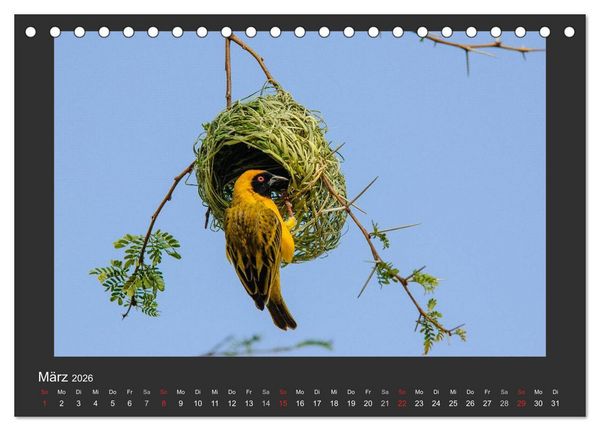 Produktbild: Facetten Namibias (Tischkalender 2026 DIN A5 quer), CALVENDO Monatskalender