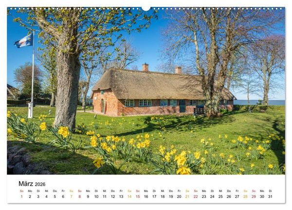 Produktbild: Sylter Friesenh&auml;user (Wandkalender 2026 DIN A2 quer), CALVENDO Monatskalender