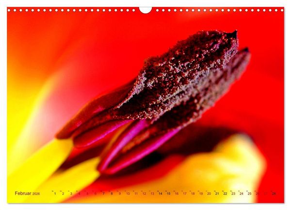 Produktbild: DEEP INSIDE - Bl&uuml;tenmakros (Wandkalender 2026 DIN A3 quer), CALVENDO Monatskalender