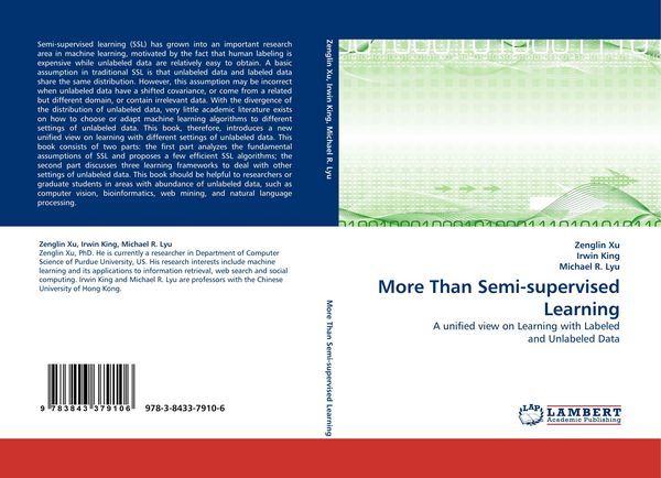 Produktbild: More Than Semi-supervised Learning