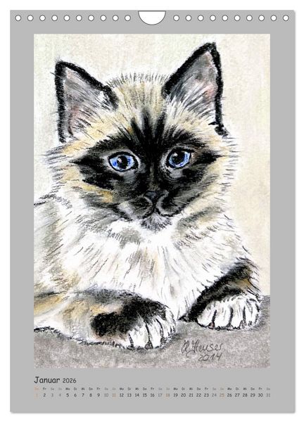 Produktbild: PortraiTierART Samtpf&ouml;tchen (Wandkalender 2026 DIN A4 hoch), CALVENDO Monatskalender