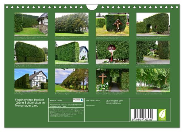 Produktbild: Faszinierende Hecken - Gr&uuml;ne Sch&ouml;nheiten im Monschauer Land (Wandkalender 2026 DIN A4 quer), CALVENDO Monatskalender