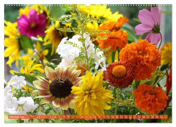 Produktbild: Blumen - Eine bunte Mischung (Wandkalender 2026 DIN A2 quer), CALVENDO Monatskalender