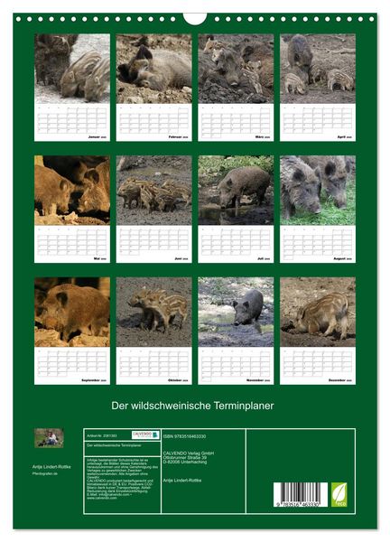 Produktbild: Der wildschweinische Terminplaner (Wandkalender 2026 DIN A3 hoch), CALVENDO Monatskalender
