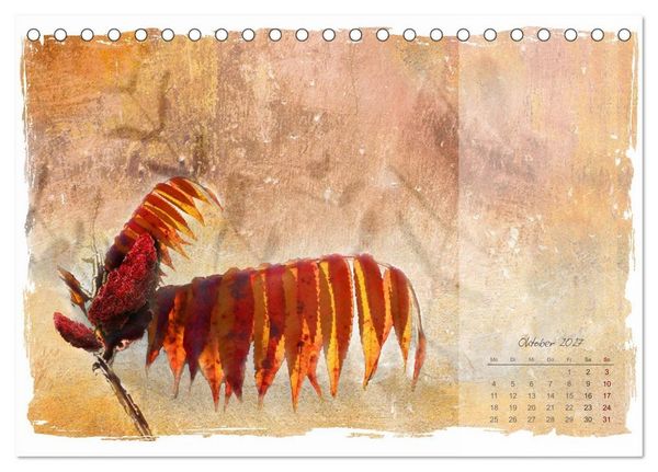 Produktbild: Natur und Farbe Fotografie trifft Aquarell (Tischkalender 2027 DIN A5 quer), CALVENDO Monatskalender