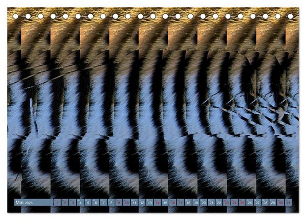 Produktbild: Magische Bilder - fantastische Stereogramme (Tischkalender 2026 DIN A5 quer), CALVENDO Monatskalender