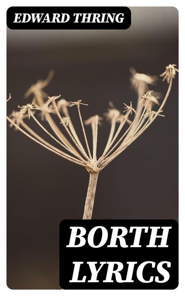 Produktbild: Borth Lyrics
