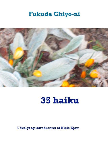 Produktbild: 35 haiku