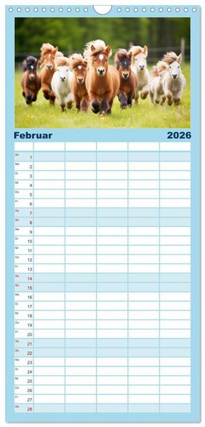 Produktbild: Familienplaner 2026 - Kleine Pferde. Mini-Ponys zum verlieben mit 5 Spalten (Wandkalender, 21 x 45 cm) CALVENDO