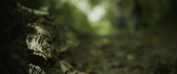 Produktbild: Mutant River - Blutiger Alptraum - Uncut Edition