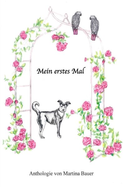Produktbild: Mein erstes Mal