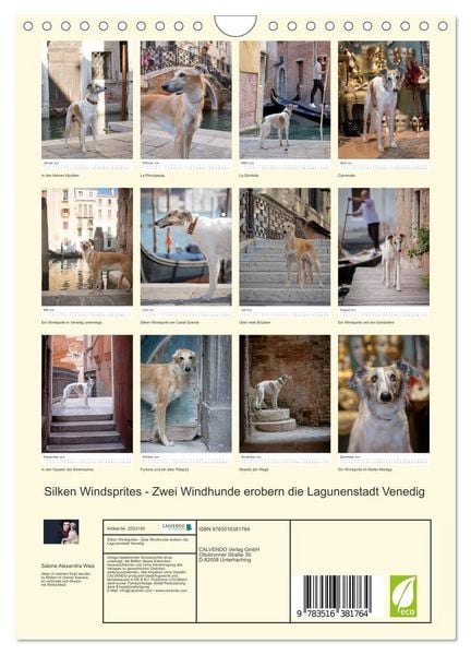 Produktbild: Silken Windsprites - Zwei Windhunde erobern die Lagunenstadt Venedig (Wandkalender 2026 DIN A4 hoch), CALVENDO Monatskalender