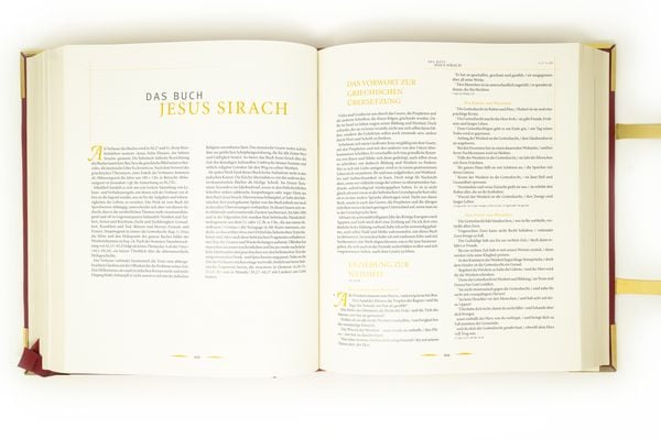 Produktbild: Die Vatikan Bibel - Die goldene Pracht.Edition