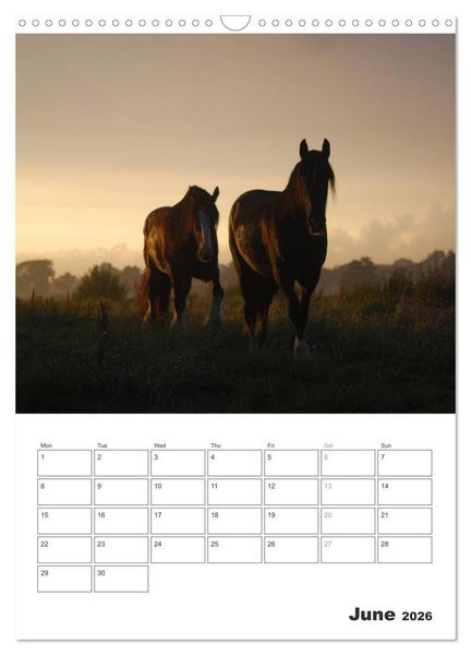Produktbild: Shire Horses The Gentle Giants (Wall Calendar 2026 DIN A3 portrait), CALVENDO 12 Month Wall Calendar