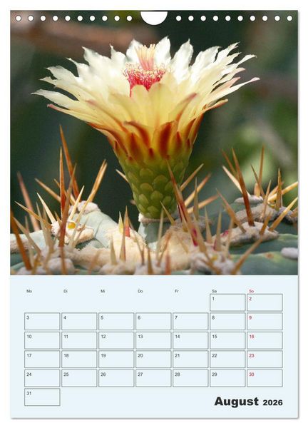 Produktbild: Wehrhafte Sukkulenten (Wandkalender 2026 DIN A4 hoch), CALVENDO Monatskalender