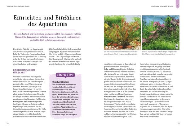 Faszinierendes Aquarium