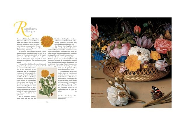 Produktbild: Die Sprache der Blumen. Pflanzen und ihre symbolische Bedeutung