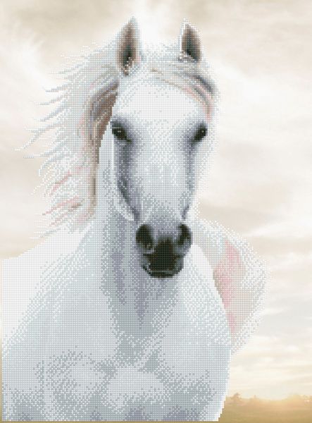 Diamond Dotz - Diamond Painting Pferd weiss