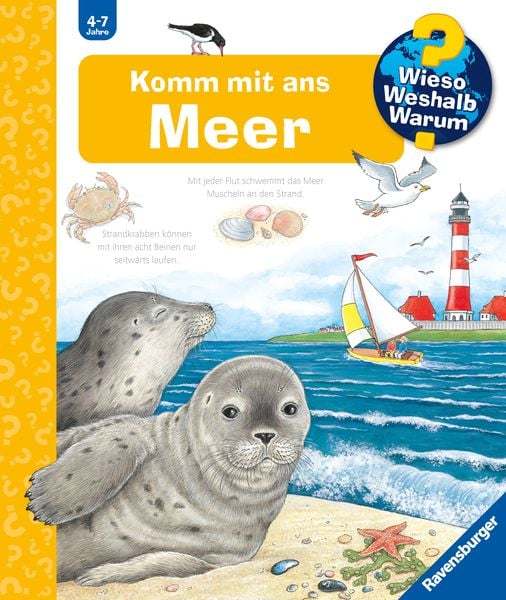 Wieso? Weshalb? Warum? Band 17 - Komm mit ans Meer, Gebundene Ausgabe von Angela Weinhold, Ravensburger Verlag GmbH, 2710001243112