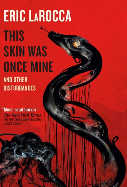 Produktbild: This Skin Was Once Mine and Other Disturbances