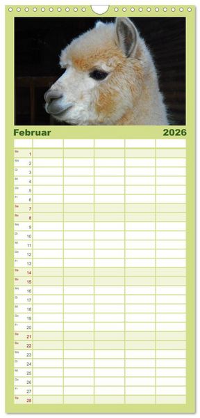 Produktbild: Familienplaner 2026 - Alpakas und Lamas mit 5 Spalten (Wandkalender, 21 x 45 cm) CALVENDO
