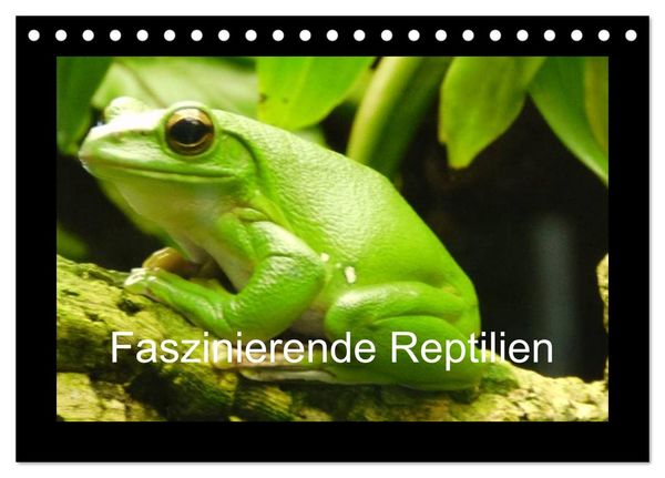 Faszinierende Reptilien (Tischkalender 2024 DIN A5 quer), CALVENDO Monatskalender