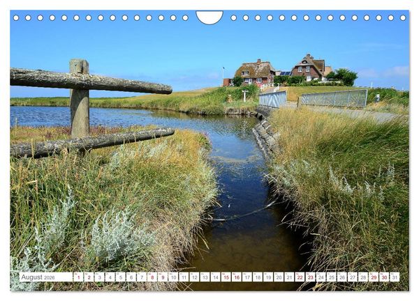 Produktbild: Sommertage auf Hallig Hooge (Wandkalender 2026 DIN A4 quer), CALVENDO Monatskalender