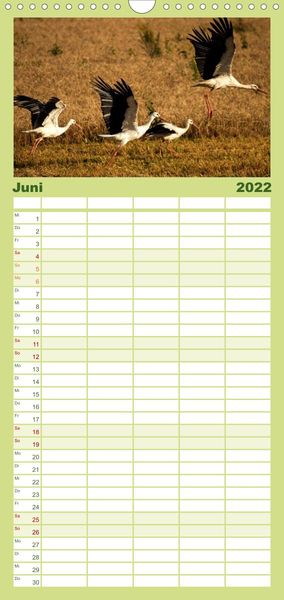 Produktbild: Familienplaner Lettland - Streifz&uuml;ge durch das mittlere Baltikum (Wandkalender 2022 , 21 cm x 45 cm, hoch)
