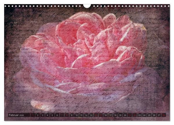 Produktbild: Gothic Rose - Rosen aus dem Garten der Finsternis (Wandkalender 2026 DIN A3 quer), CALVENDO Monatskalender