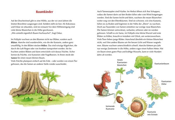 Produktbild: Der kleine Drache Kokosnuss - Mein erstes Wald-Buch