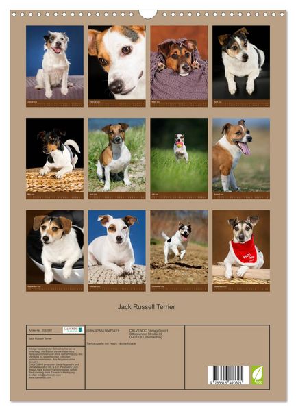 Produktbild: Jack Russell Terrier (Wandkalender 2026 DIN A3 hoch), CALVENDO Monatskalender