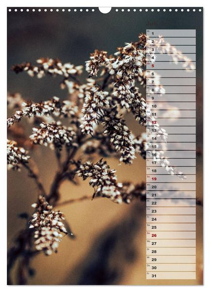 Produktbild: Kalender - Natur im Detail (Wandkalender 2026 DIN A3 hoch), CALVENDO Monatskalender