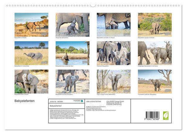 Produktbild: Babyelefanten (hochwertiger Premium Wandkalender 2026 DIN A2 quer), Kunstdruck in Hochglanz