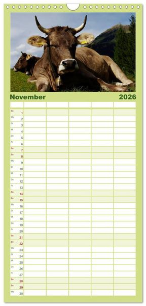 Produktbild: Familienplaner 2026 - Bergwelt in &Ouml;sterreich mit 5 Spalten (Wandkalender, 21 x 45 cm) CALVENDO