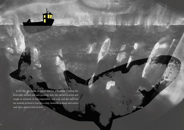 Produktbild: Julia and the Shark