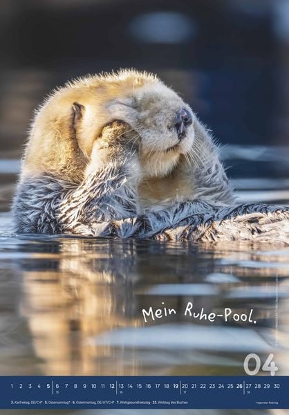 Produktbild: Tierisch cool! 2026 - Bild-Kalender 23,7x34 cm - mit lustigen Sprüchen - Humor - Wandkalender - mit Platz für Notizen - Alpha Edition