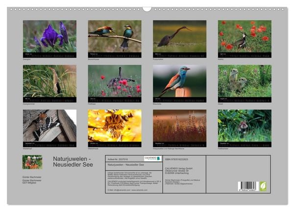 Produktbild: Naturjuwelen - Neusiedler See (Wandkalender 2026 DIN A2 quer), CALVENDO Monatskalender