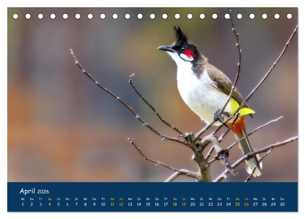 Produktbild: Faszinierende Tierwelt von Mauritius - Magische Momente der Natur (Tischkalender 2026 DIN A5 quer), CALVENDO Monatskalender