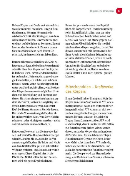 Produktbild: Der Burnout-Notfallkoffer