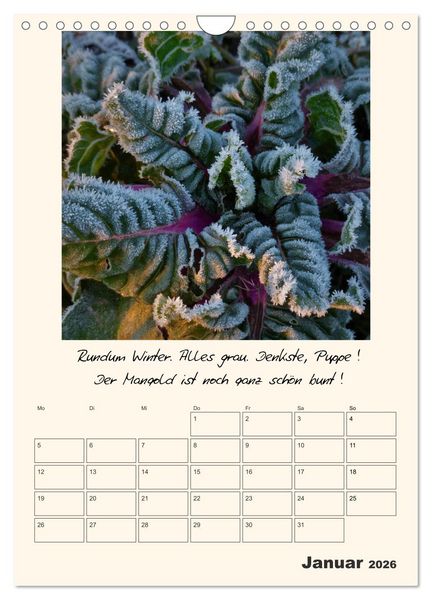Produktbild: Gartengeschichten (Wandkalender 2026 DIN A4 hoch), CALVENDO Monatskalender